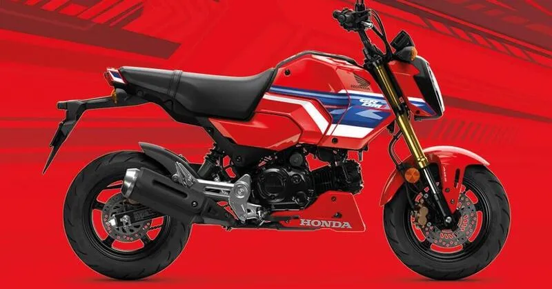 Honda GROM 2026: новая расцветка MSX125 в стиле паддока, идеально подходящая для города