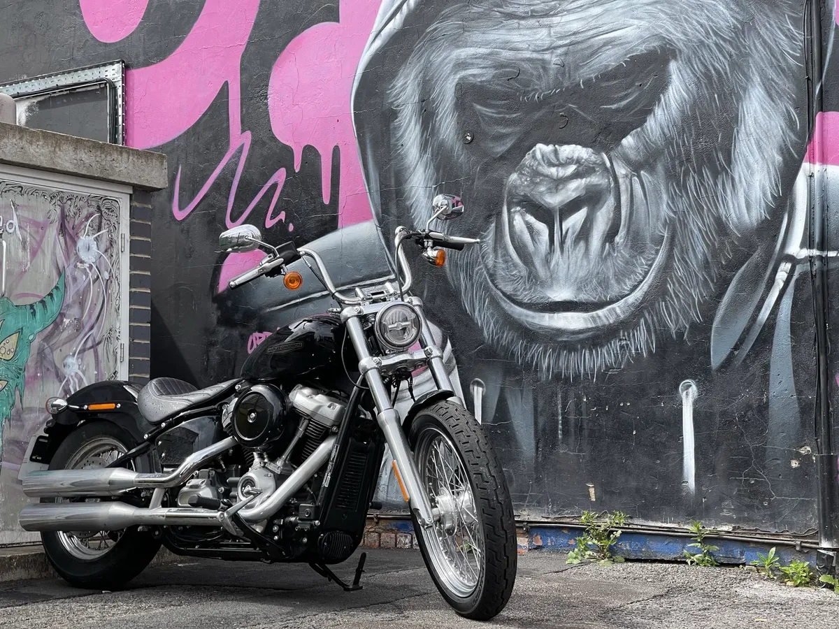Harley-Davidson подала заявки на регистрацию товарных знаков Deadwood и Low Bob — фото 2