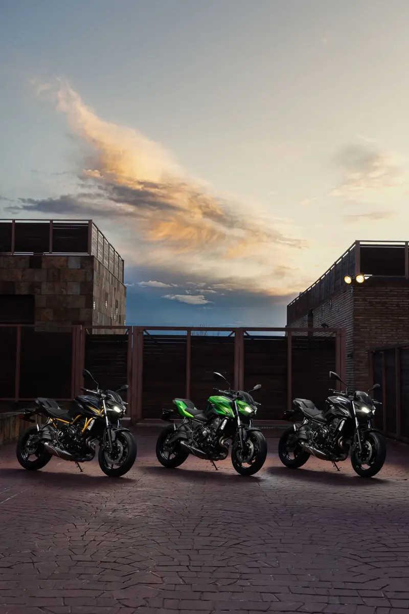 Первый тест-драйв: Kawasaki Z650S — фото 4