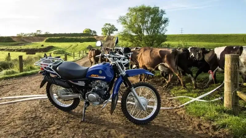 Простые и надежные, то есть сельскохозяйственные: Yamaha все еще выпускает мотоциклы с карбюратором и двойной подножкой — фото 3