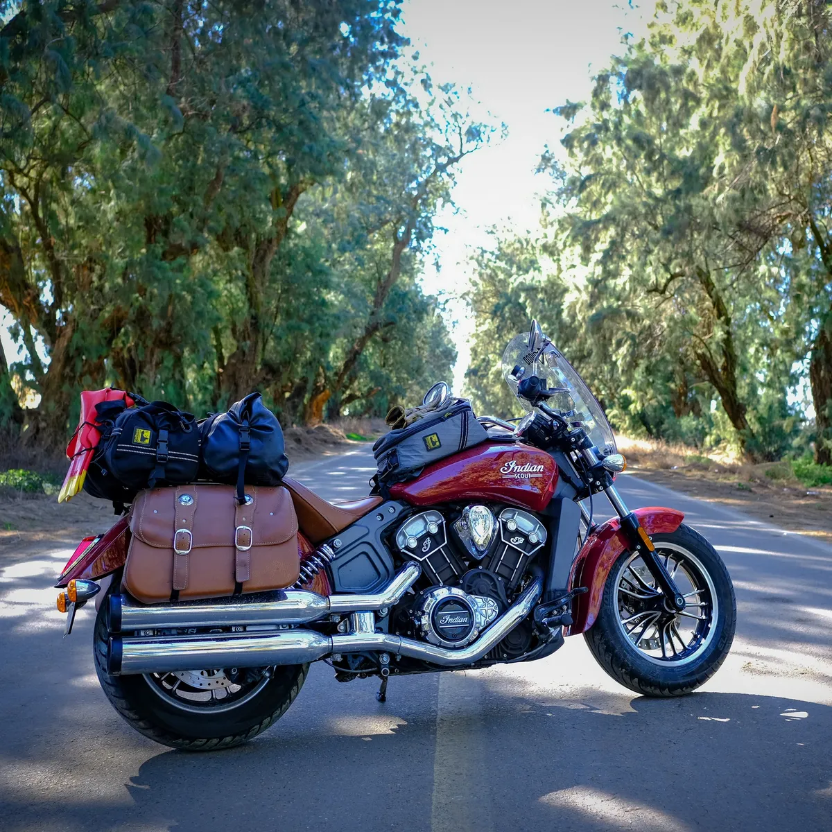 Indian Motorcycles сократит запутанную линейку Scout — фото 3