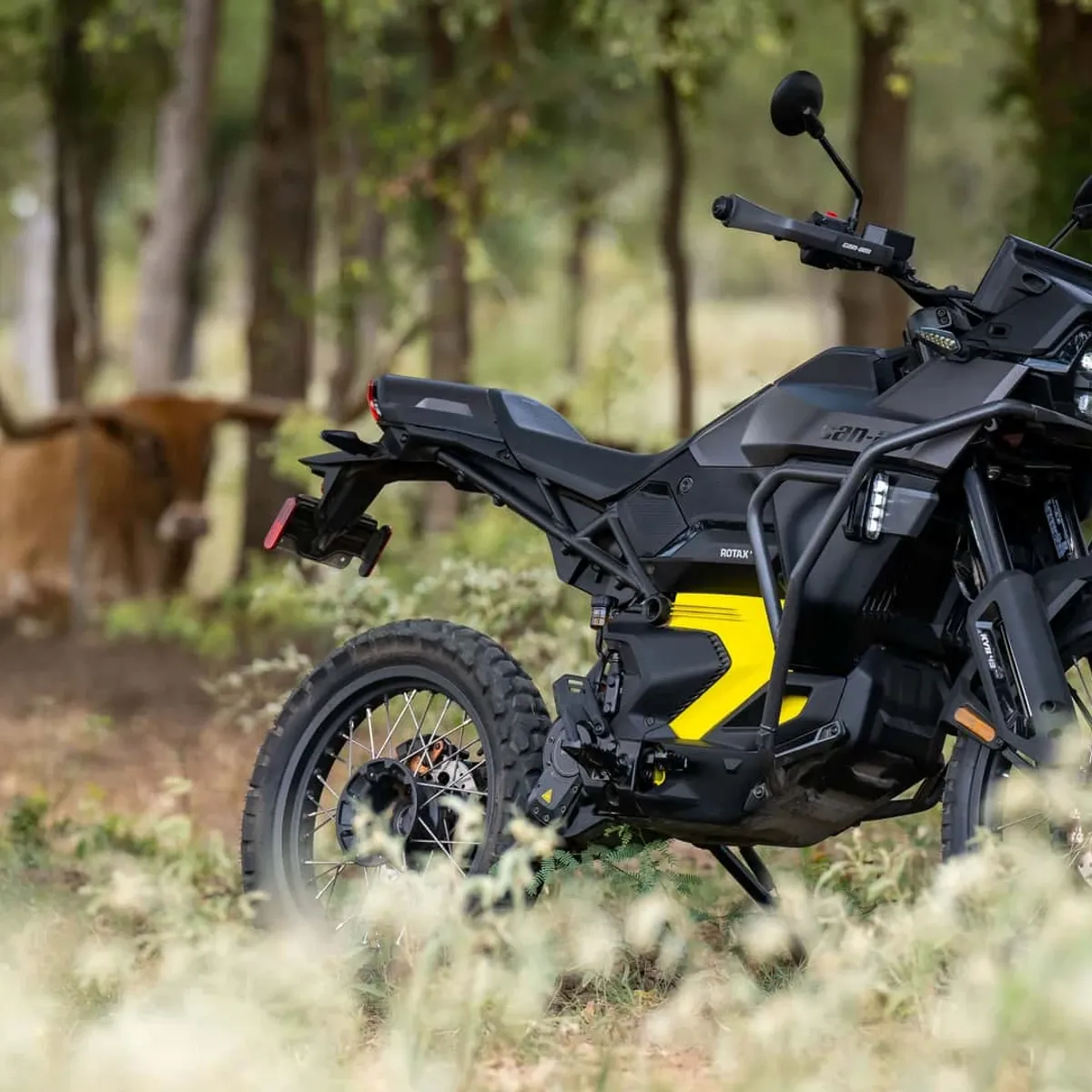 Скидка до $4000 на электрический мотоцикл Can-Am. Стоит ли превратить его в эндуро? — фото 3