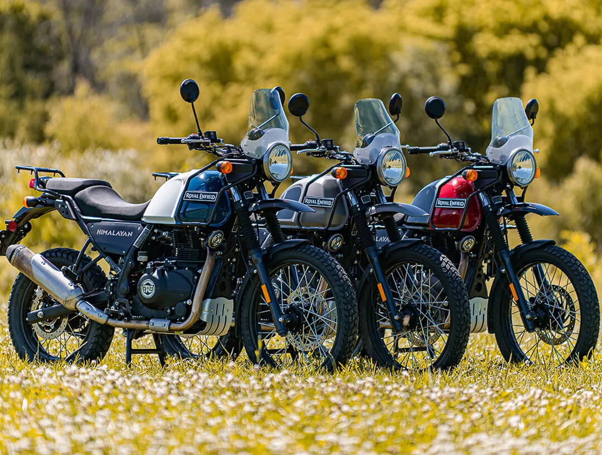Royal Enfield готовит внедорожную версию Himalayan 450 «Rally»? — фото 3
