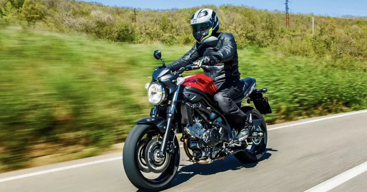 Suzuki SV 650: highlander