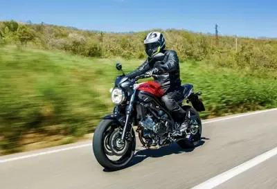 Suzuki SV 650: highlander — фото 4